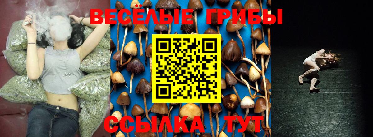 Псилоцибиновые грибы мицелий  Вход с VPN  Павловский Посад 